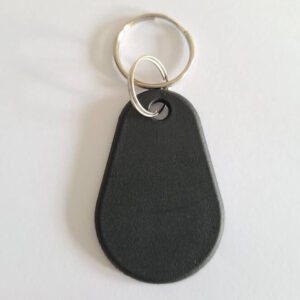 Durable PPS T5577 125KHz Low Frequency Access Control Key Tags